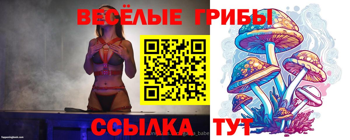 Сыктывкар  Псилоцибиновые грибы ЛСД  Галлюциногенные грибы ЛСД  Вход с VPN 
